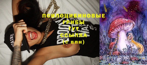 амф Нефтегорск